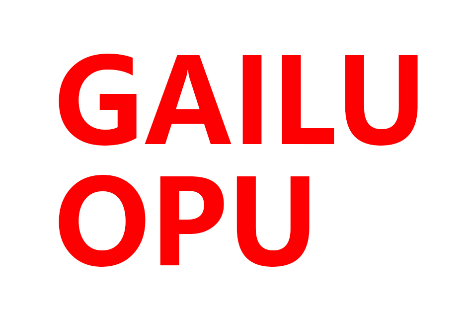 ギャラップGAILUOPU